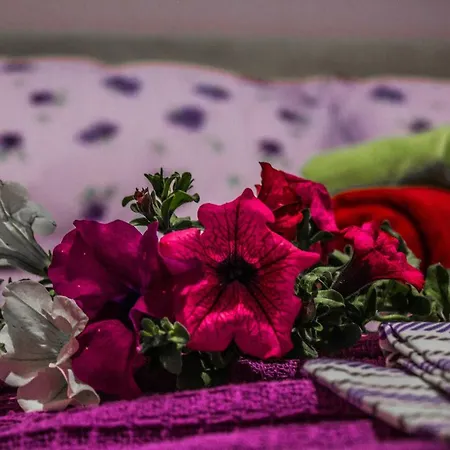 Rona Apartment Skala Kallirakhis